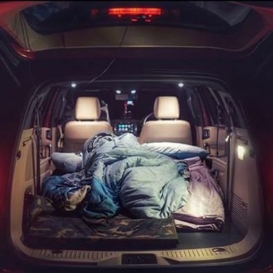 Image of the backseat of a car with bedding. 